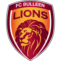 Bulleen Lions